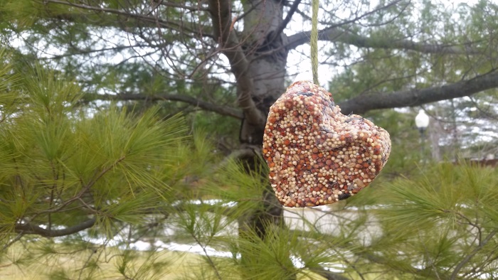 birdseed heart dementia craft