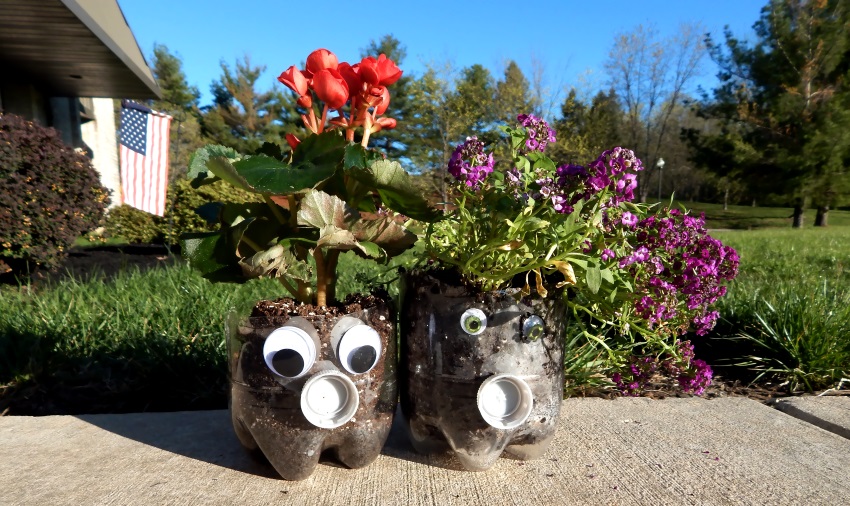 soda planter dementia craft