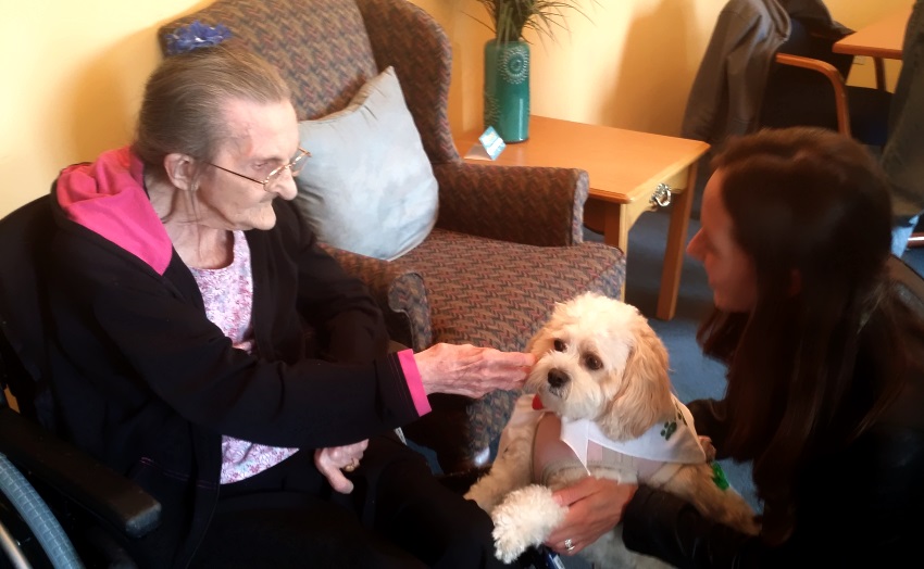 hospice pet volunteer