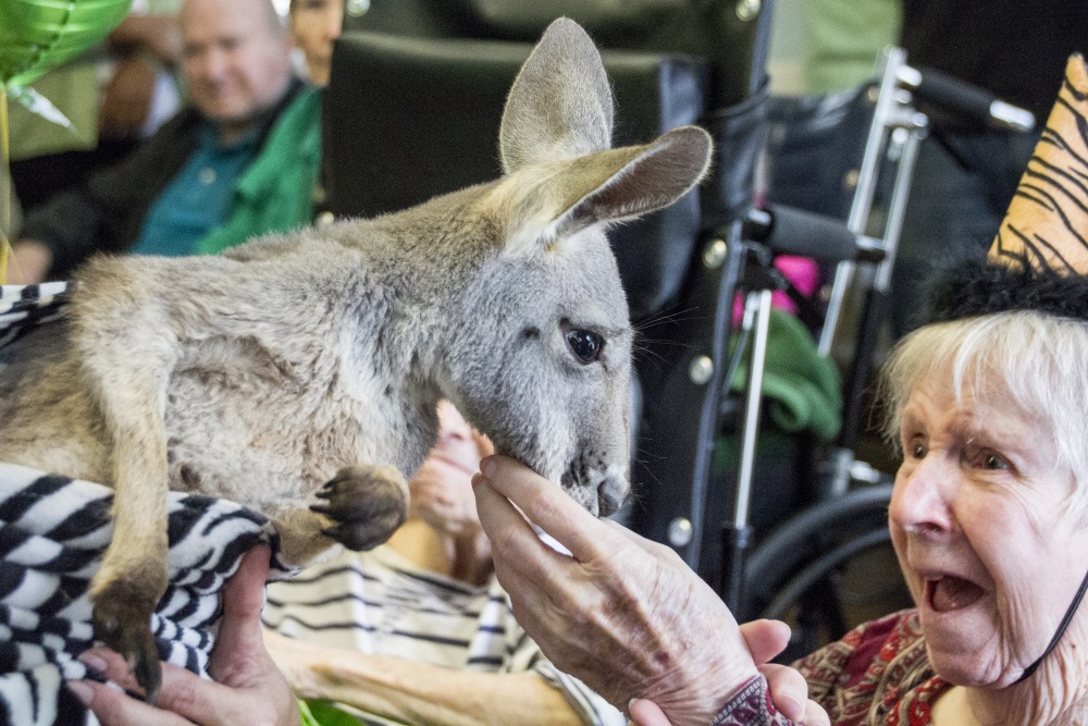 hospice is special moments