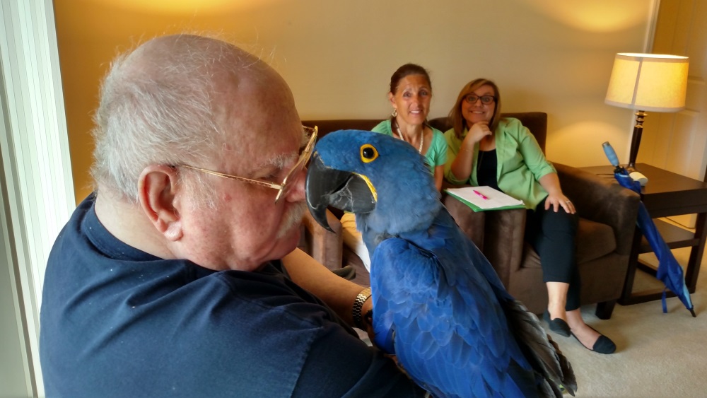 hospice at home