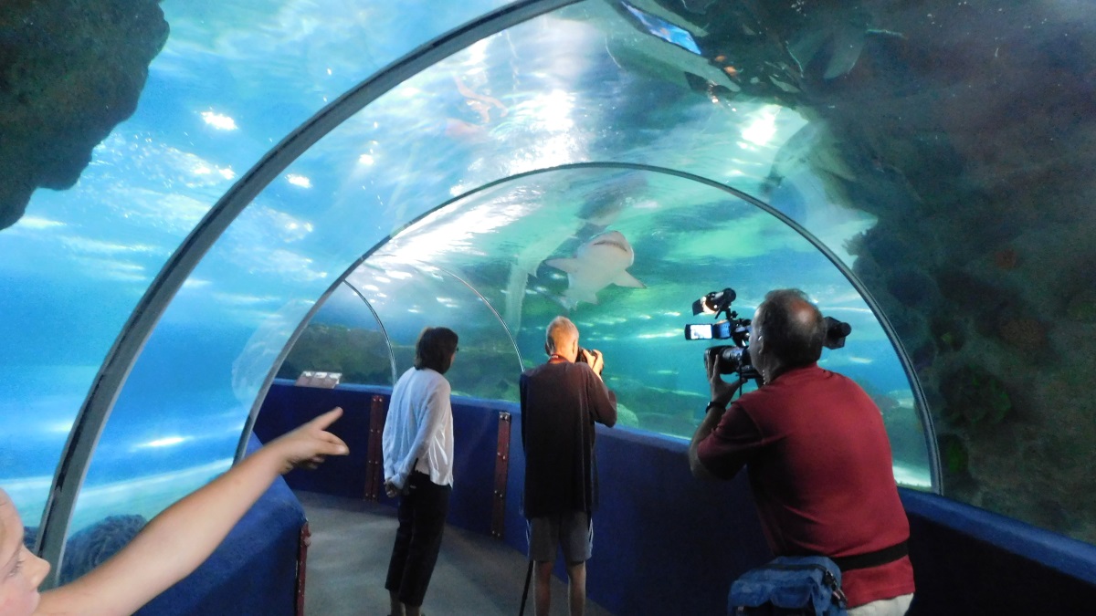 Cleveland Aquarium Hospice Patient Visit