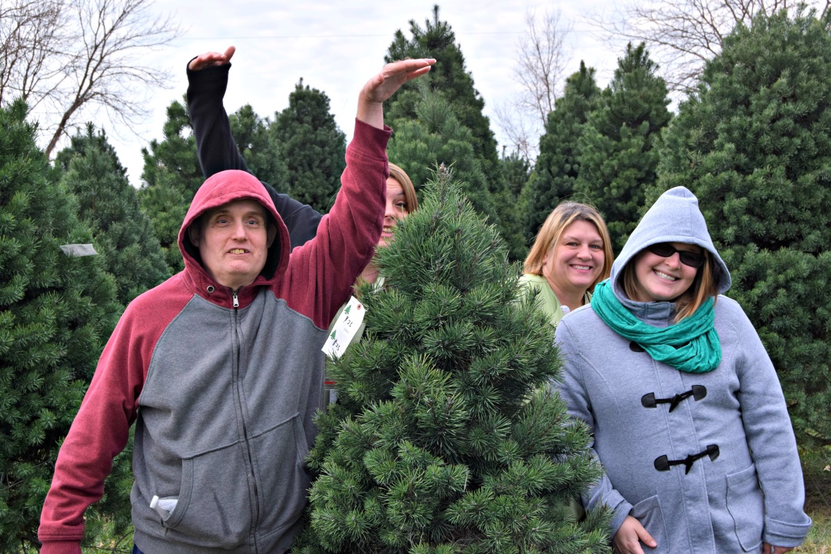 christmas tree gift of a day