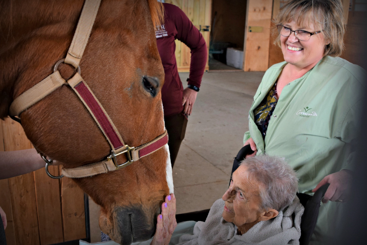horse kisses hospice patient