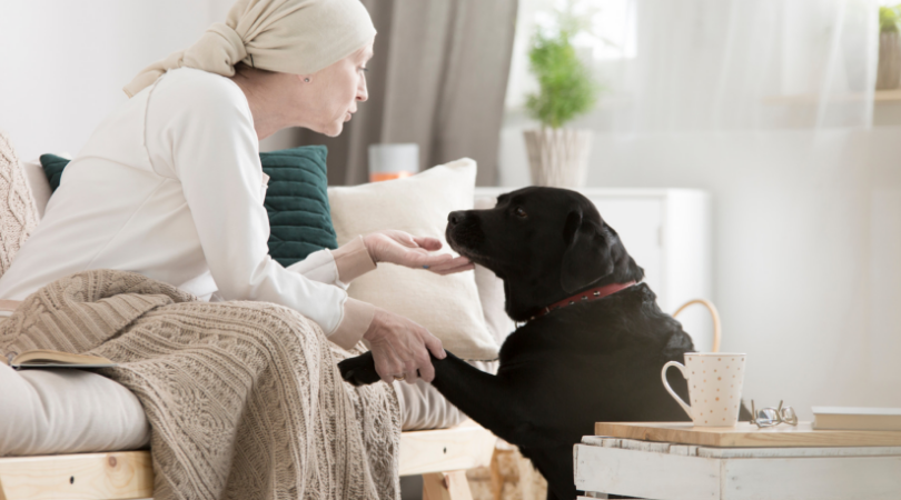 what are the benefits of hospice