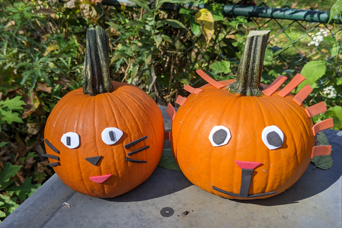 Decorated Animal Pumpkins: Activities for Dementia Patients Decorated Animal Pumpkins: Activities for Dementia Patients