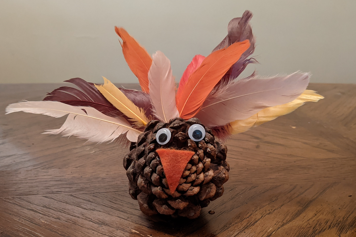 Pinecone turkey craft discount