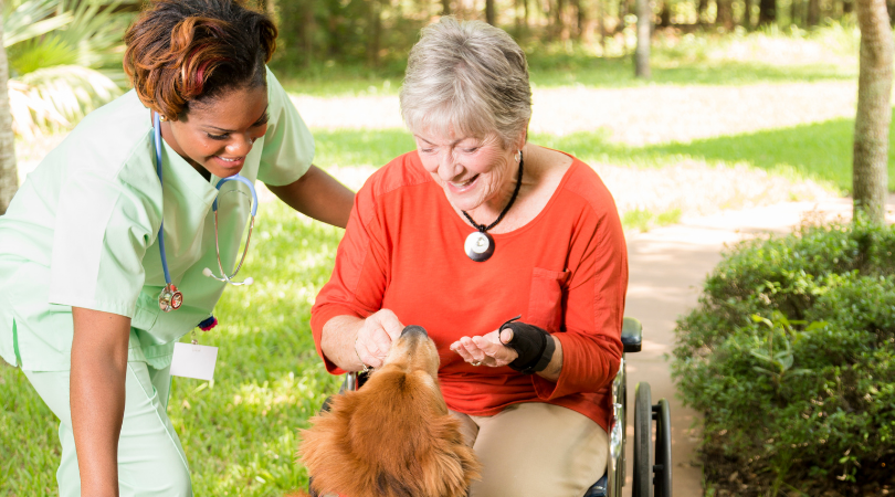 hospice vs nursing home