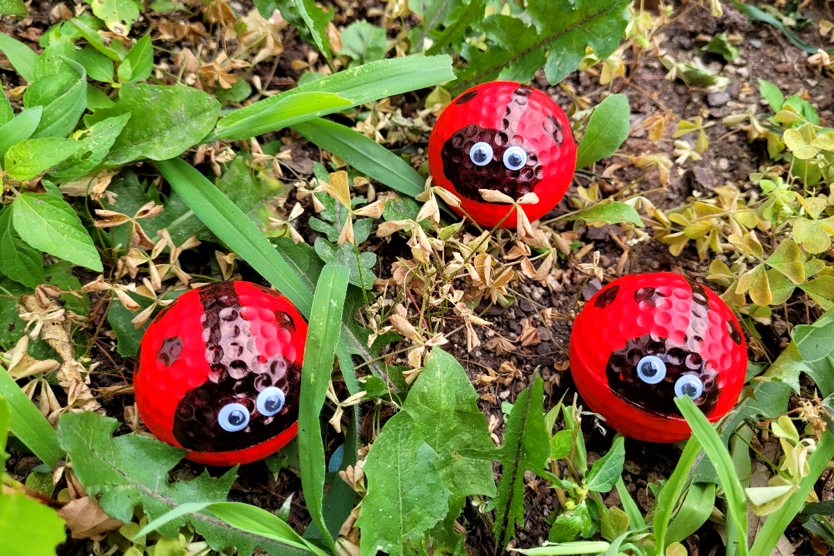 ladybug golf ball craft