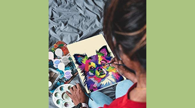 paint by numbers gift