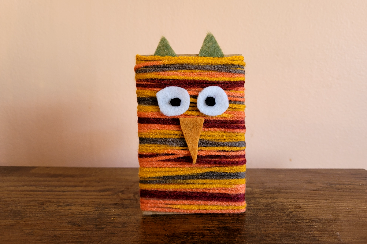 Yarn Owl Craft
